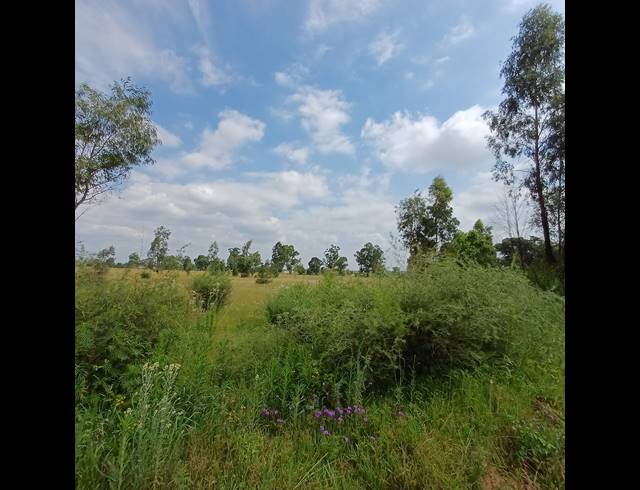 87,023M² VACANT LAND FOR SALE IN OPHIR AH